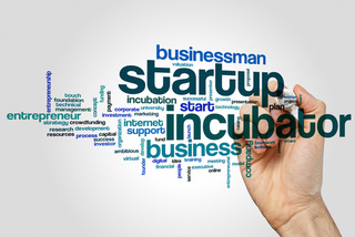 Startup incubator word cloud concept on grey background